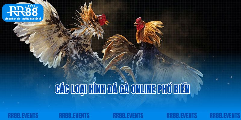 Các loại hình đá gà online phổ biến