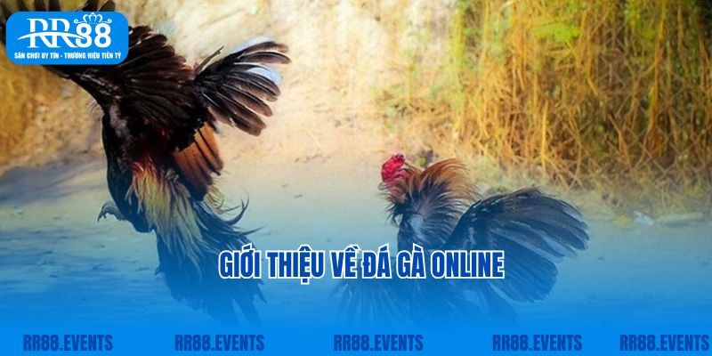 Giới thiệu về đá gà online