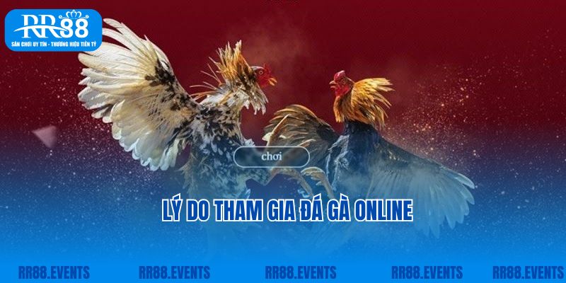 Lý do tham gia đá gà online